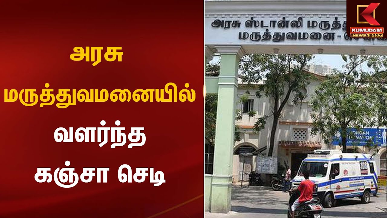 அரசு மருத்துவமனையில் வளர்ந்த கஞ்சா செடி | CM MK Stalin Hospital