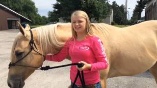 Watch National Rodeo qualifier Karleigh Vande Guchte Shoot, Talk About Her Horse