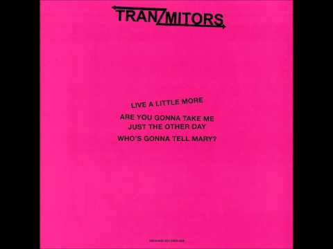 the tranzmitors - who's gonna tell mary