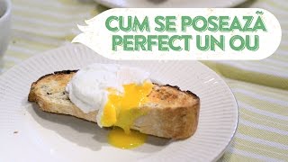 Poșarea ouălor - Video 1