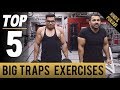 Top 5 Exercises for MONSTER TRAPS! (Hindi / Punjabi)