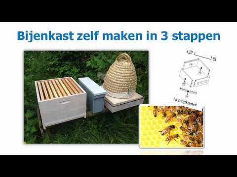 , title : 'Bijenkast zelf maken in 3 stappen'