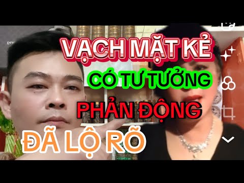 WHITE WIND - THE REACTIONARY HAS BEEN REVEALED