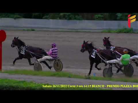 III corsa del 26 novembre 2022 - Cat. G - Metri 1600 - Gentlemen