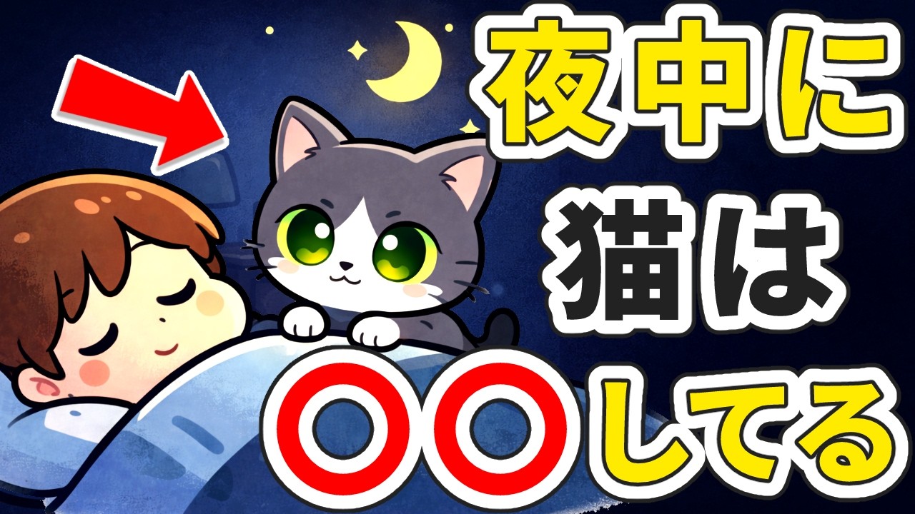 【猫の行動😻】あなたが寝たあと猫がひっそり行っている5つの秘密 #猫 #雑学 #豆知識 #トリビア