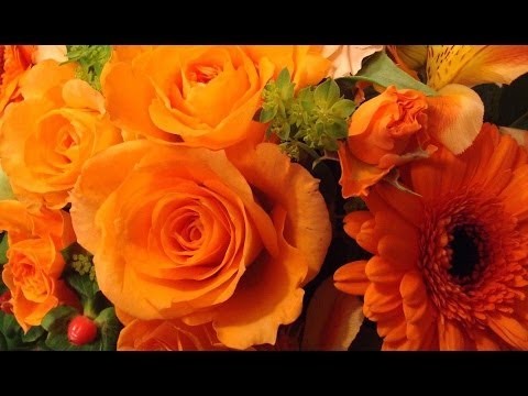 download lagu mp3 mp4 Ehergy, download mp3 Ehergy free download mp3, download mp3 Ehergy