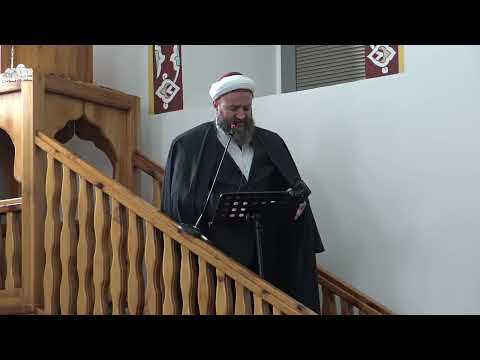 Sead ef. Jasavić - Fitna znanja i neznanja