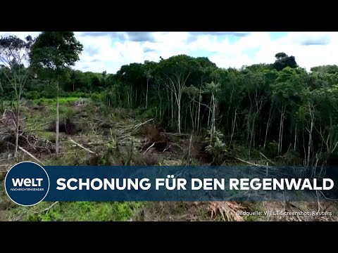 Video Thumbnail: GUTE NACHRICHTEN: Brasiliens Regenwald geschont - geringste Abholzung im Amazonasgebiet seit Jahren