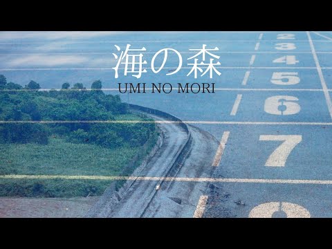 海の森/山口陽一  UMI NO MORI (Sea Forest)/Yoichi Yamaguchi  Tokyo Bay Music 2020 Video