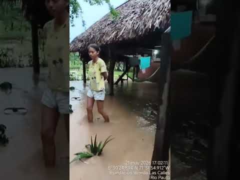 Las Calles, San Luis de Palenque - inundaciones por desbordamiento del río Pauto dejan damnificados
