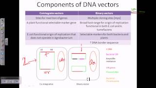 preview picture of video 'Cointigrate vector and binary vector'