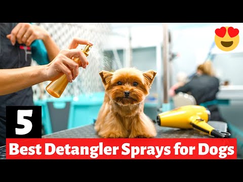 5 Best Detangler Sprays for your Dog