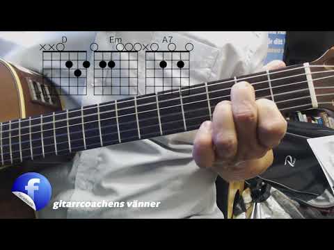 Lär dig spela gitarr - Gitarr för nybörjare - Idas sommarvisa - Janne Höijer