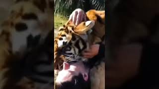 Download lagu #Real #Tarzan# mp3