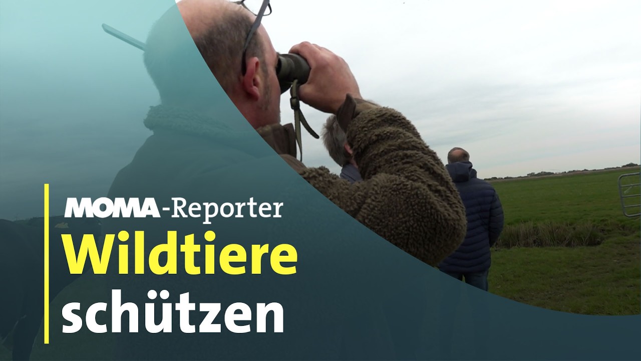 MOMA-Reporter: Tiere töten, um andere Tiere zu retten | ARD Morgenmagazin