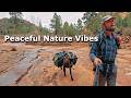 Special Edition Peaceful Desert Rain With Dogs Pack Goats Firebox Stove Ti BOX POT 1 Pot Cooking