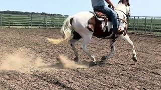 Video 1