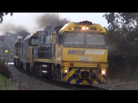 Pacific National 3MP5 passing Ovingham