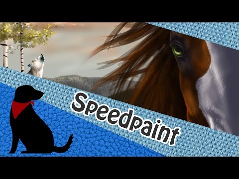 SPEEDPAINT - ERREN - Das verlorene Königreich COVER