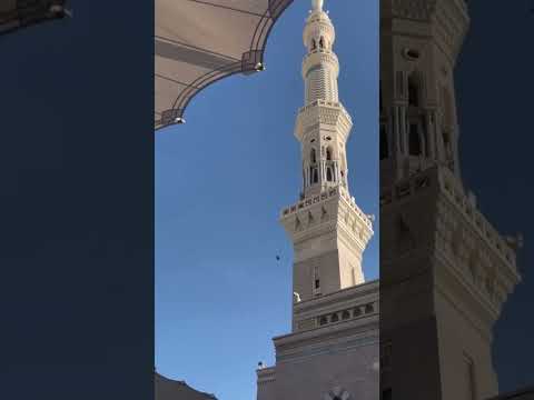 #viral#foryou#shorts