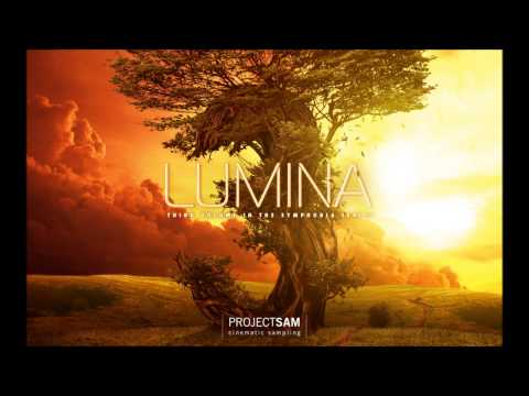 Projectsam Lumina harp improv