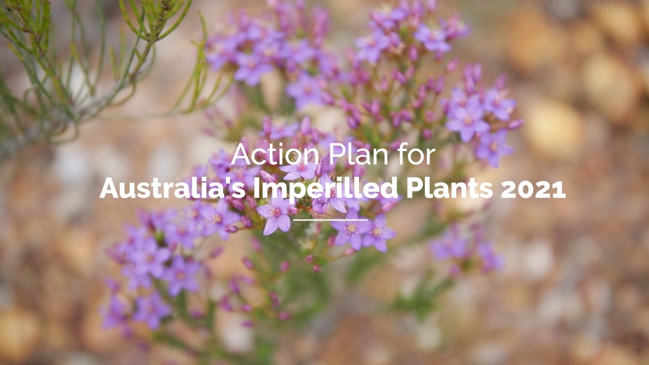 Action Plan for Australia's Imperilled Plants - 2021