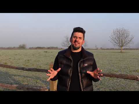 1.13 Believe - 30 Day Form Booster