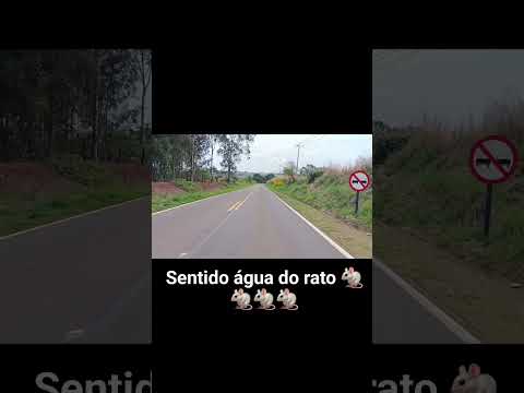 bora cidade de Guaporema noroeste do Paraná.