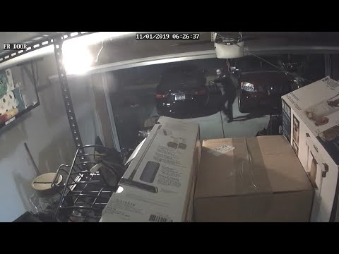 Never-before-seen video of a Charlotte drug bust gone wrong