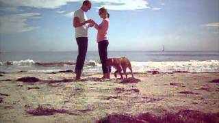 Proposal at Shoreline Beach in Santa Barbara