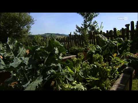 Weniger ist mehr   Vom Trend, mit Nichts glücklich zu sein