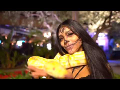 Promotional video thumbnail 7 for Jewels Entertainment World fusion shows