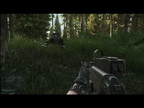First Woods expansion experience in Tarkov