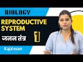 Reproductive System By Kajal Mam Human Reproductive System
