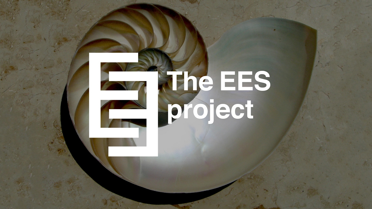 EES The project