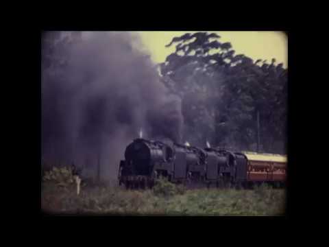 Triple headed black 38s tour, 1969.