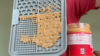 Honest Review   Azyh Licking Mat for Dogs & Cats 2 Pack, Slow Feeder