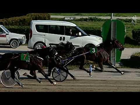 Aversa trotto 14 Gennaio 2023 - 1° Corsa