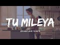 Tu Mileya ( slowed and reverb ) - Darshan Raval | Nexus Music