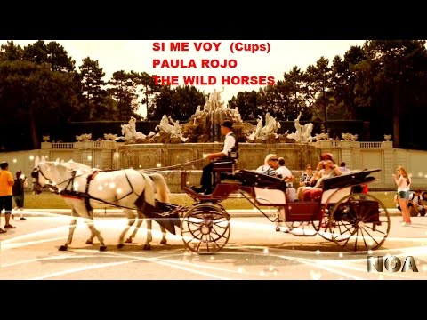 Si Me Voy (Cups) de Paula Rojo- The Wild Horses
