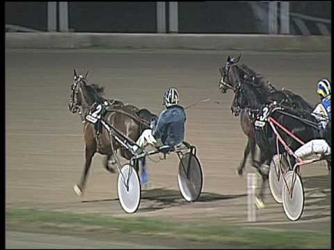 Trotto 20/12/2016 - 6ª corsa