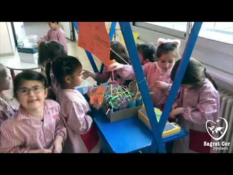 Sagrat Cor Diputació  Anem al cinema