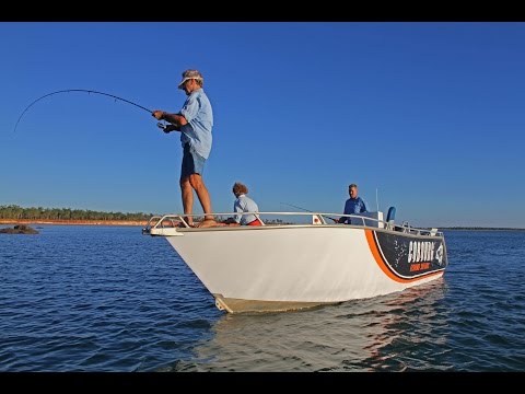 Mouthbrooding catfish