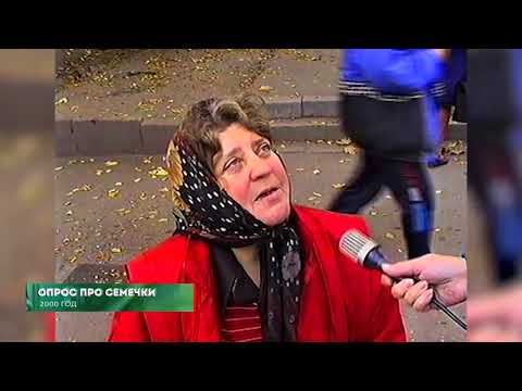 Из 90х/Из нулевых # 2000 # Выставка "Дары Осени" 2003 # Опрос про жару и семечки