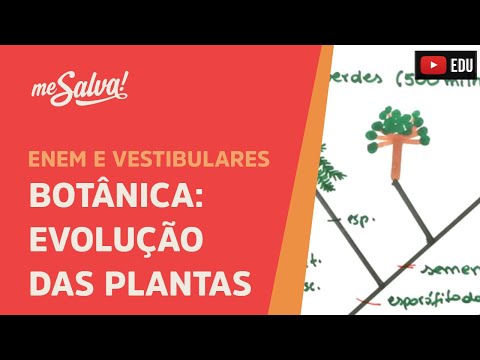 Me Salva! BOT01 - Botânica - Evolução das plantas