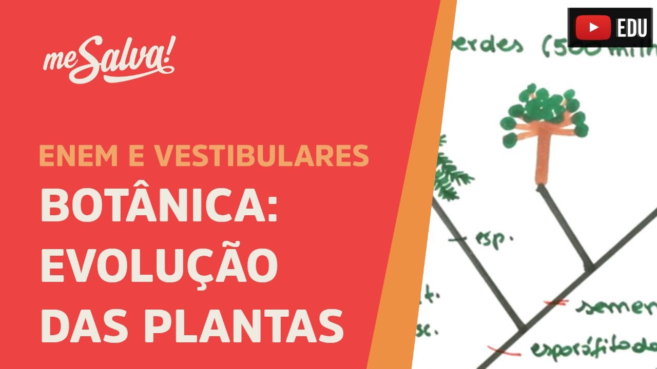Me Salva! BOT01 - Botânica - Evolução das plantas