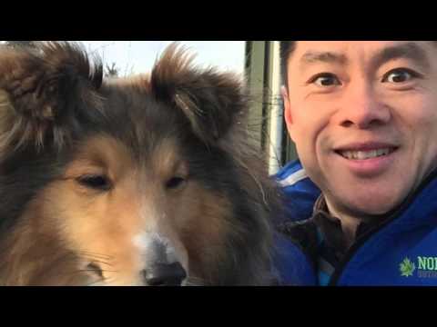 Ivy Trials - WAC 2016 Best Of