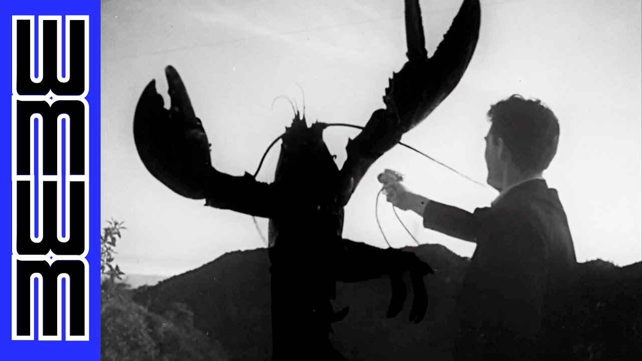 Aliens! Skeletons! Giant Lobsters! – Teenagers from Outer Space (1959)