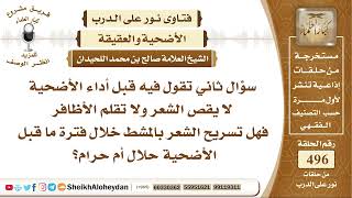 صورة 6195 -  حكم تسريح الشعر بالمشط خلال فترة ما قبل الأضحية  - نور على الدرب