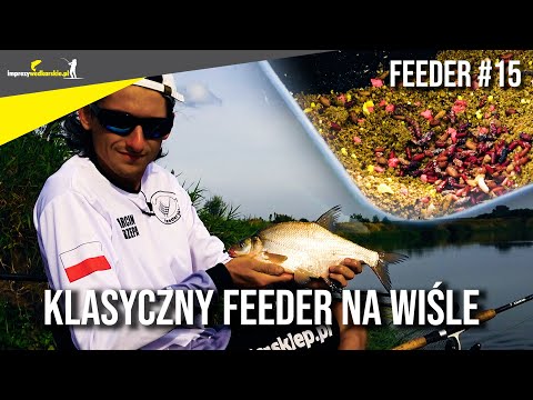 FEEDER #15 Klasyczny Feeder na Rzece WIŚLE